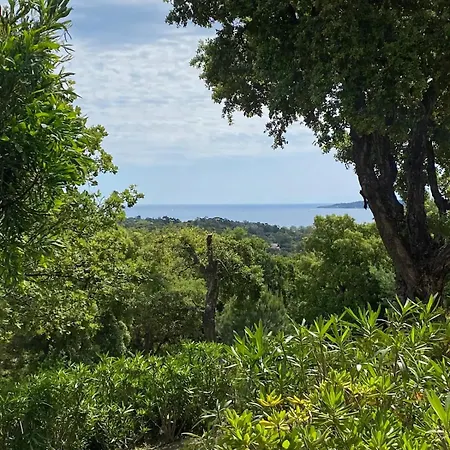 T2 Dans Les Restanques Du Golfe A *