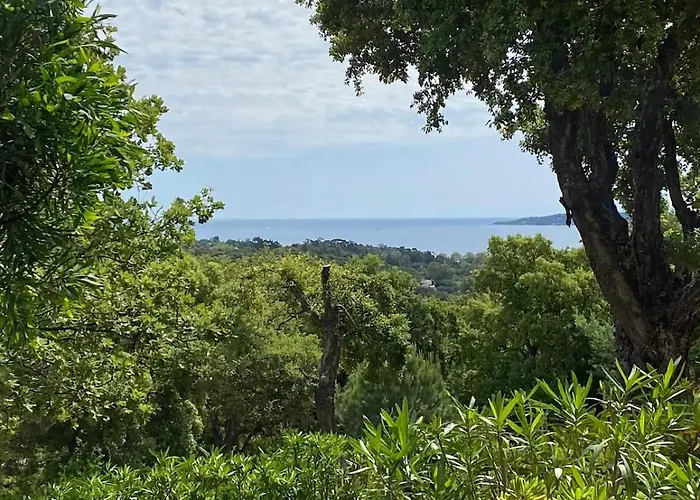 T2 Dans Les Restanques Du Golfe A *