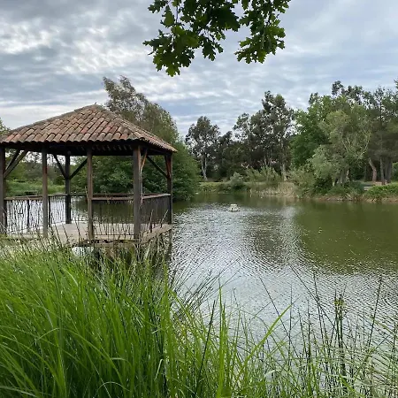 Appartement T2 Dans Les Restanques Du Golfe A